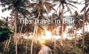 Bali Vacation Tips – Useful in Planning a Vacation to Bali