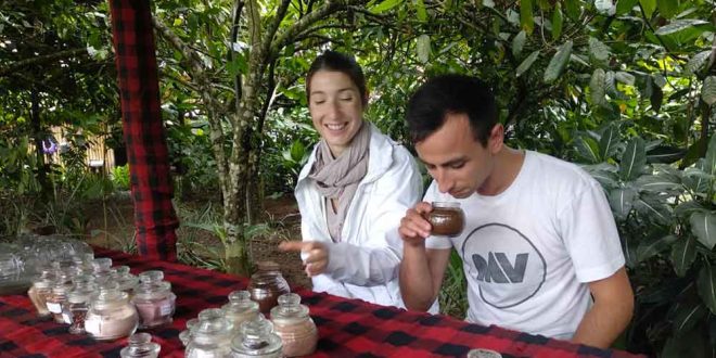 Bali luwak coffee