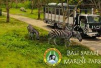 bali-safari-marine-park