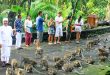 Ubud Sacred Monkey Forest Waterfall Tegalalang Rice Terrace