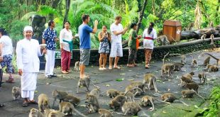 Ubud Sacred Monkey Forest Waterfall Tegalalang Rice Terrace
