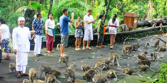 Ubud Sacred Monkey Forest Waterfall Tegalalang Rice Terrace