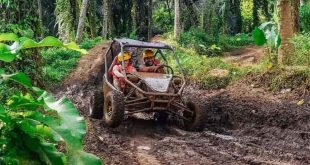 UTV Jungle Buggy Adventure in Ubud Bali